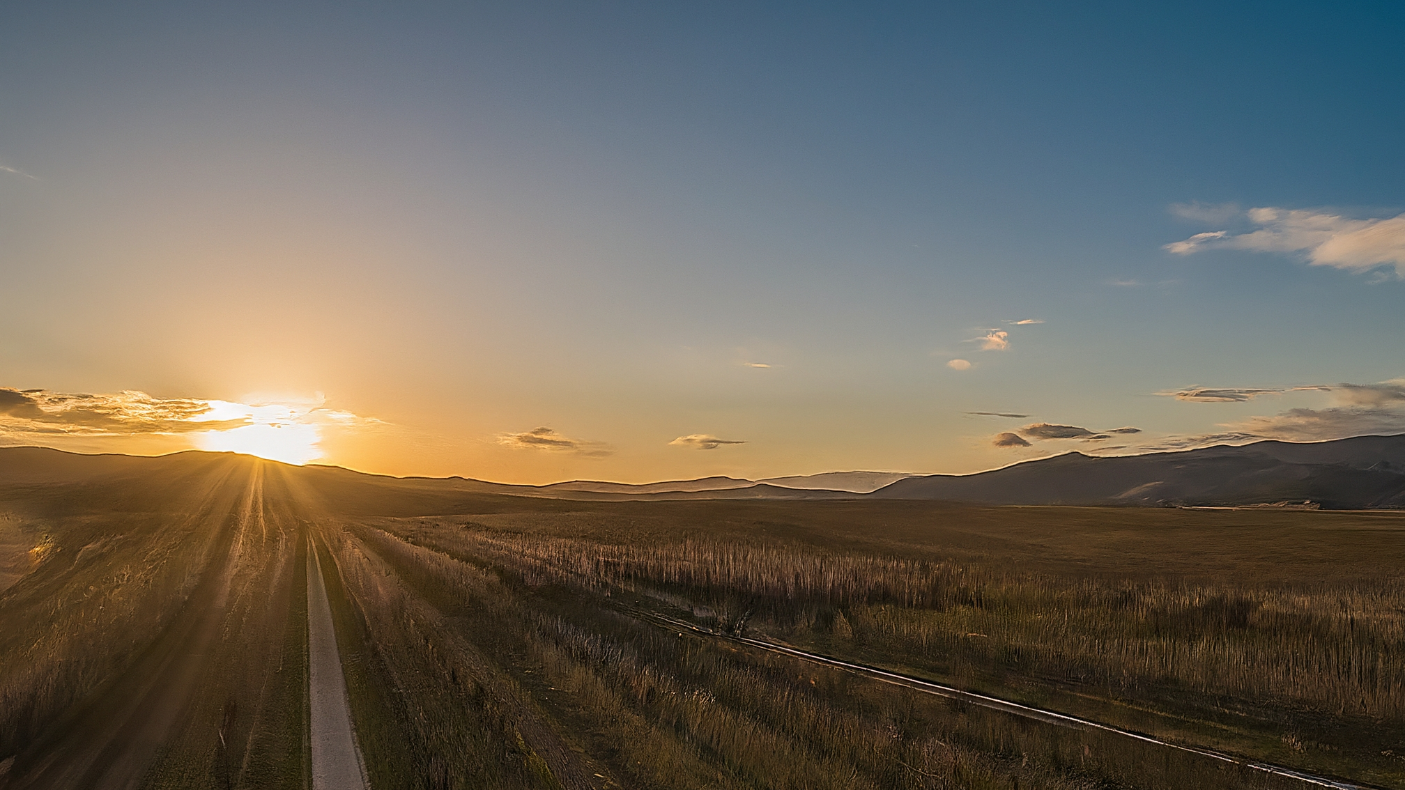 California almond orchard at golden hour