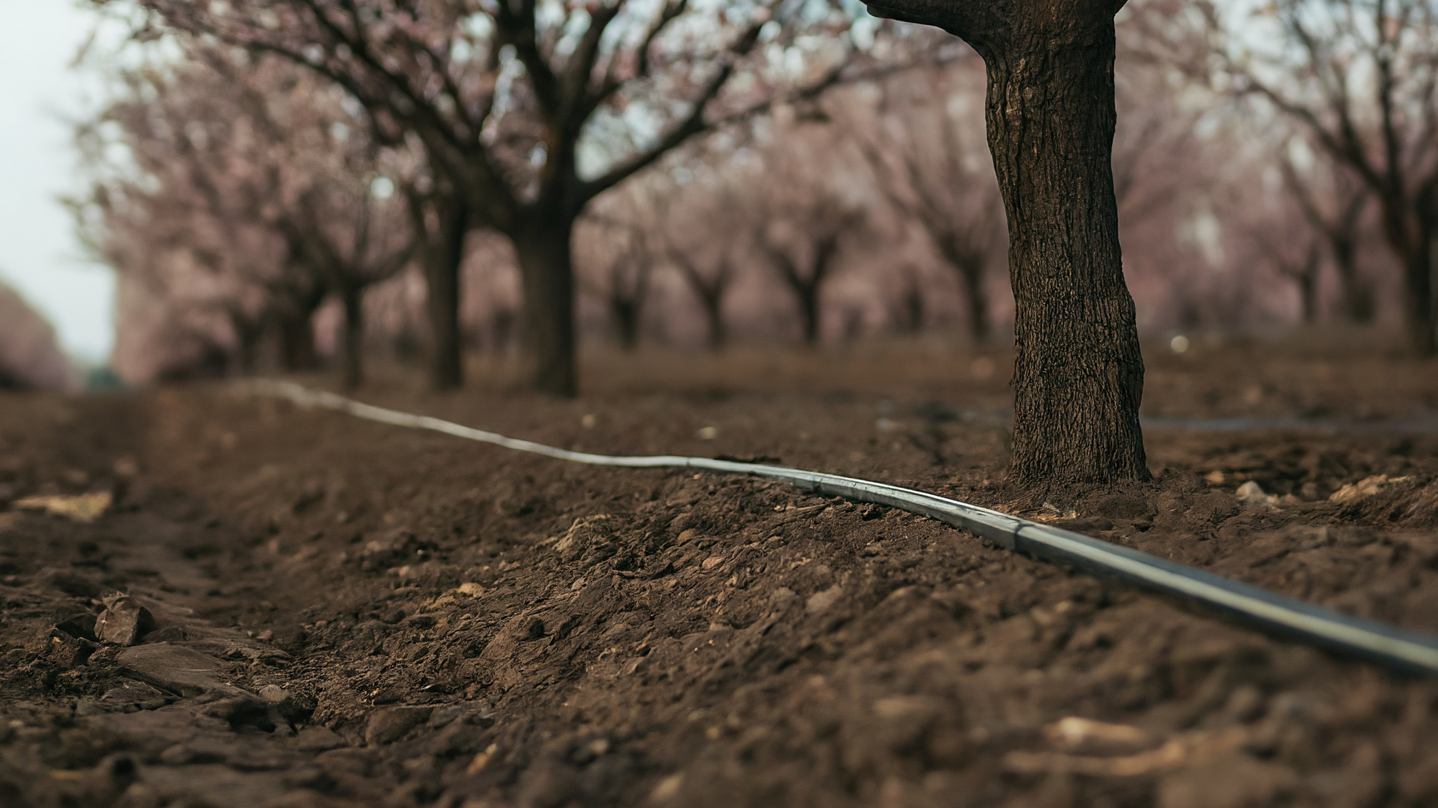 Modern irrigation system